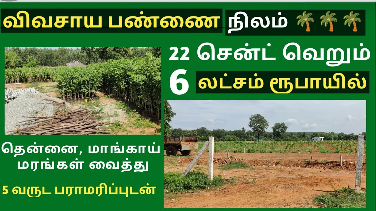 விவசாய பண்ணை நிலம் 🌴🌴🌴  22 சென்ட் வெறும் 6 லட்ச ரூபாயில்  #plotforsale  #farmland #viral #trending