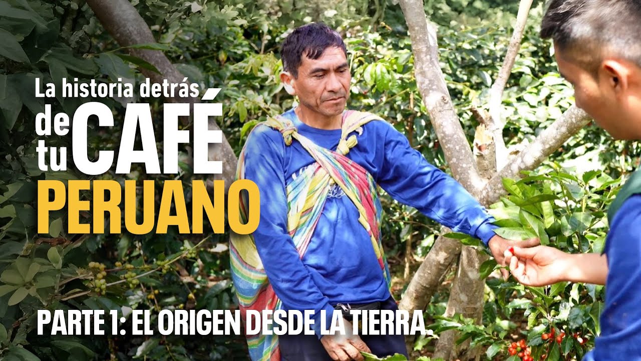 LA HISTORIA DETRÁS DE TU CAFÉ PERUANO - Parte 1: El origen desde la tierra