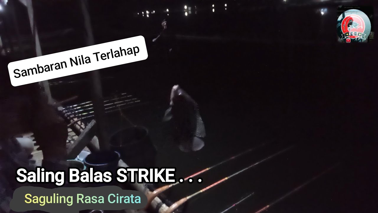 🔴TERBARU‼️SAGULING RASA CIRATA Bray 😱 Sambaran Nila Terlahap Saling Balas STRIKE #mancingnilaliar