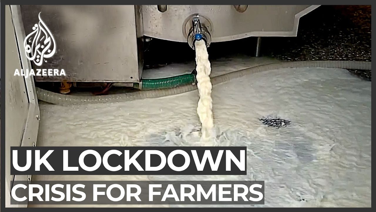 UK farmers forced to throw away fresh produce