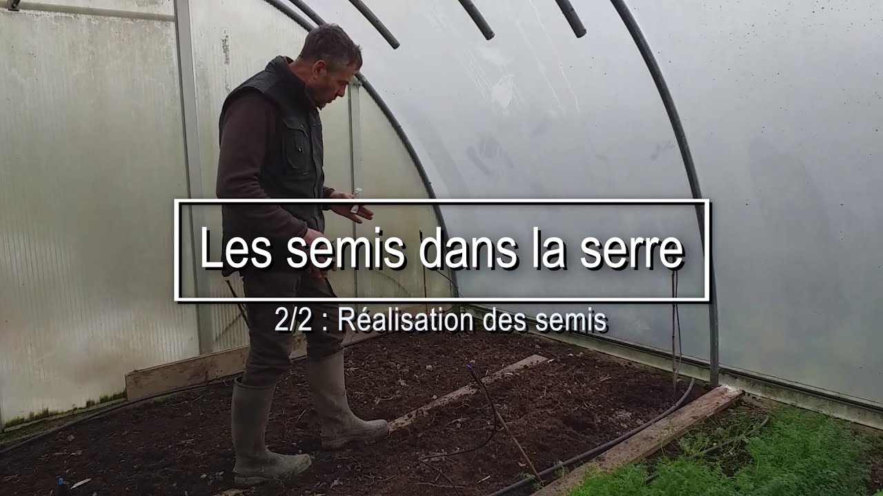 2/2 : Les semis dans la serre : Semis de radis et d'ail