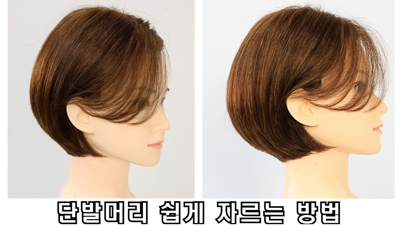 단발머리 쉽게 자르는 방법 입니다 #단발머리 #단발보브컷 #단발머리스타일