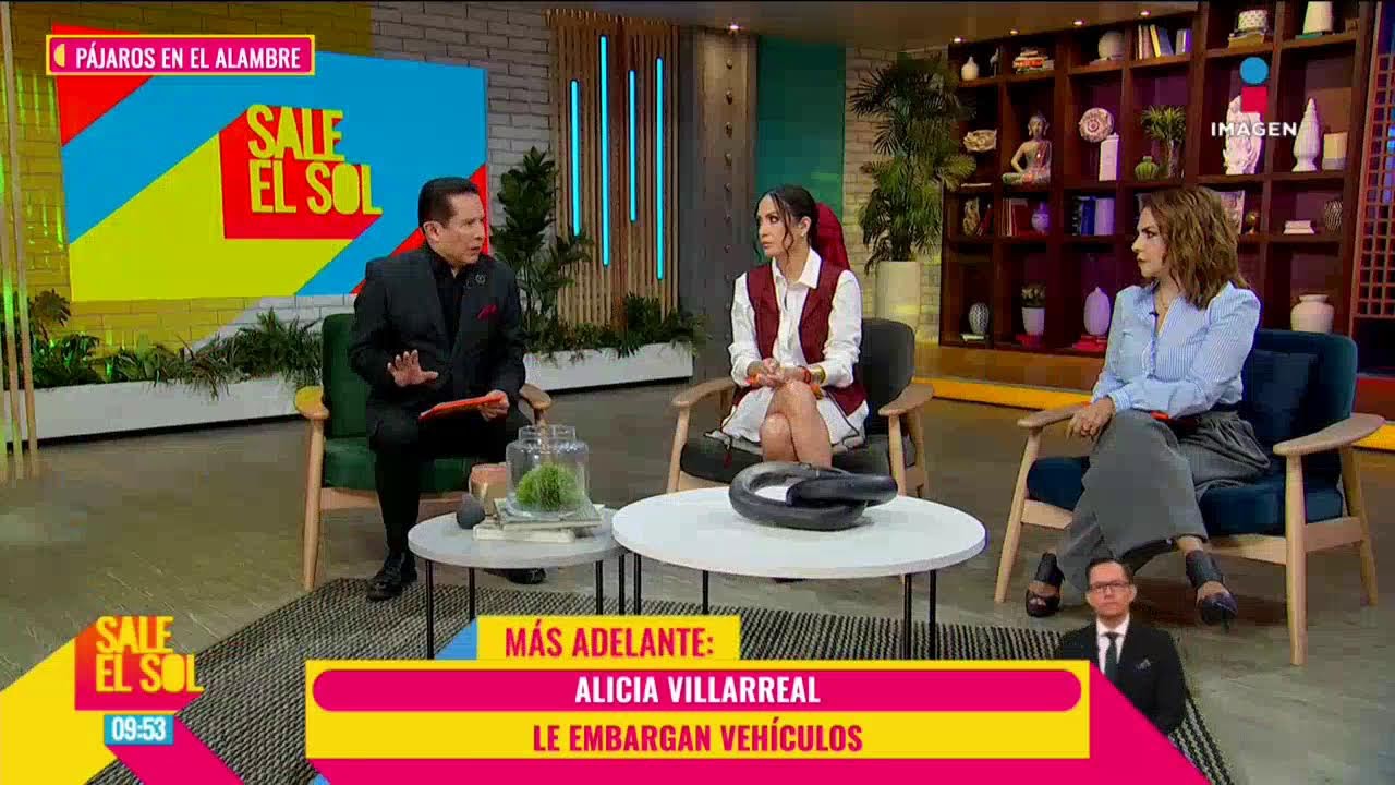 EN VIVO: Lo MEJOR de los ESPECTÁCULOS con los #PájarosEnElAlambre | Sale el Sol