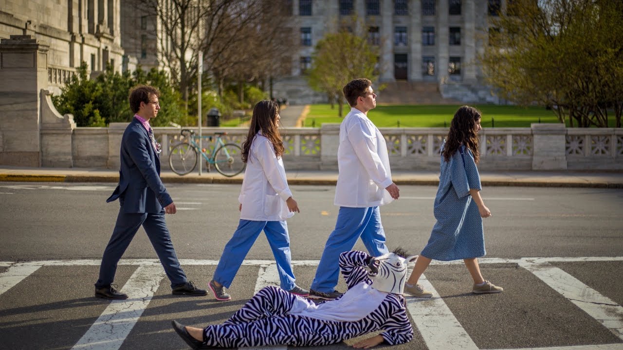 IT'S NOT A ZEBRA! ft. Harvard Medical School & HSDM (