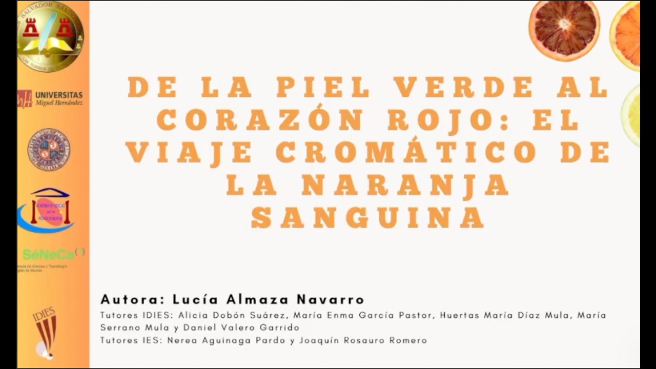 03 LUCÍA ALMAZA NAVARRO