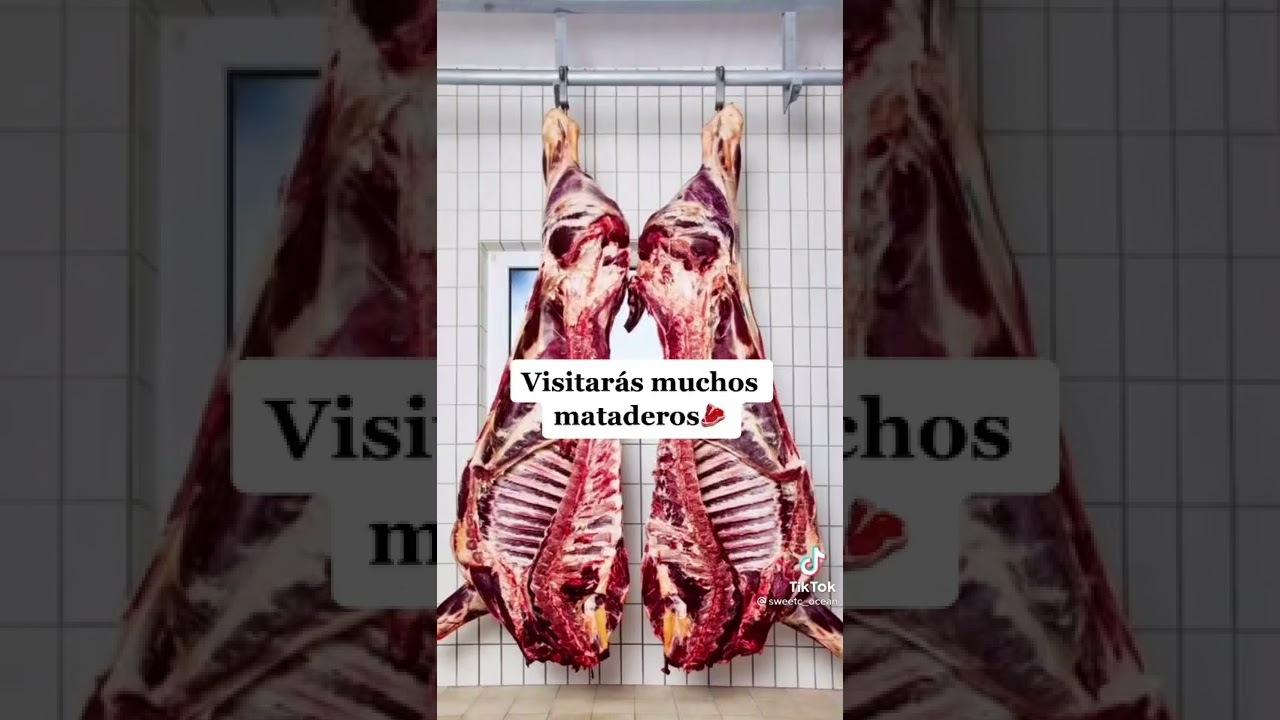 Cosas que no sabias sobre estudiar veterinaria #shorts
