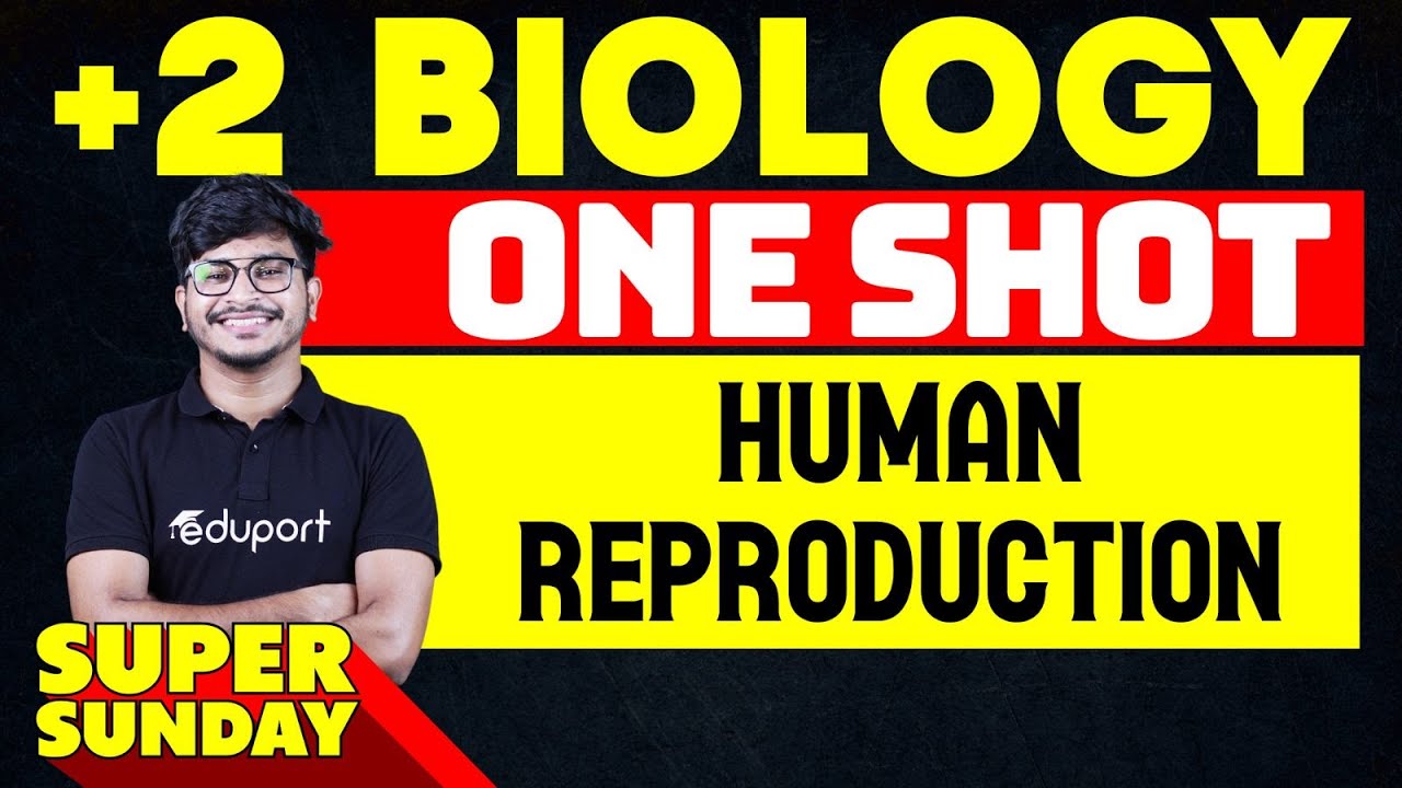 Super Sunday Biology |  2. Human Reproduction One Shot | Eduport Plus Two