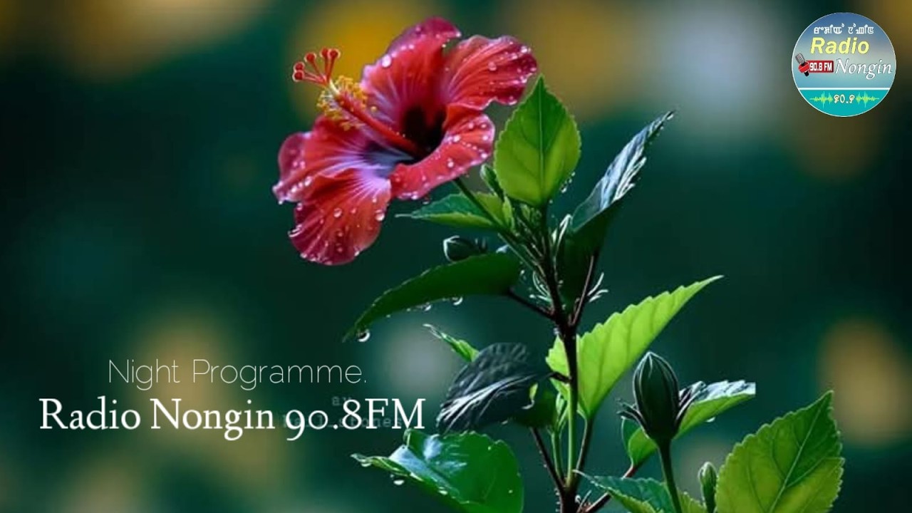 DAY PROGRAMME :::  THE  20th  MARCH  2026,  RADIO NONGIN ..,