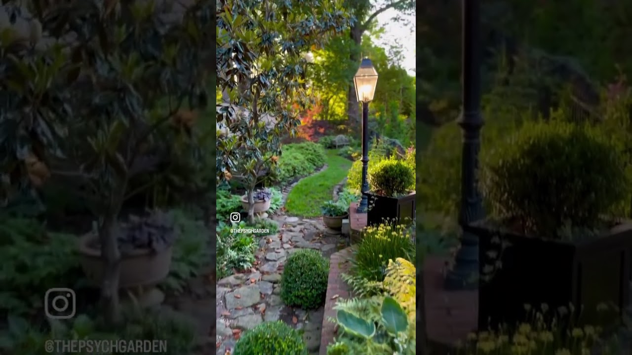 Morning Garden walk 