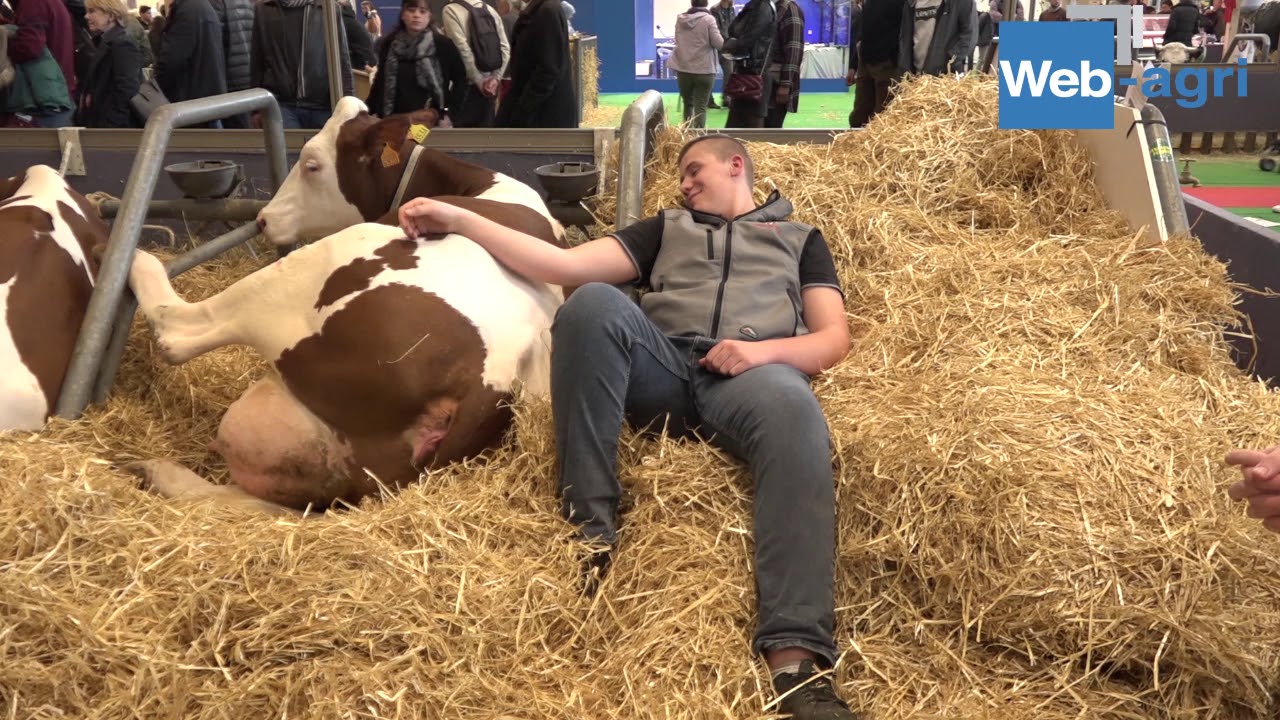 Les concours du salon de l'agriculture, c'est quoi ?