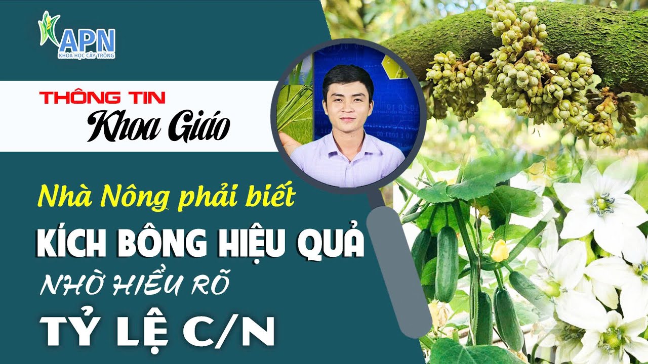 APN - CÂY RA HOA ĐẬU TRÁI NHỜ NGUYÊN LÝ NÀY | NHÀ NÔNG PHẢI BIẾT