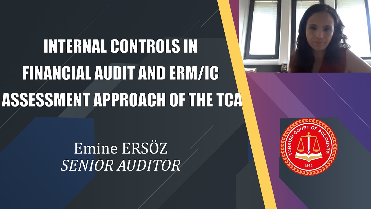 Presentation 3: Internal Controls in Financial Audit and ERM/IC Assessment Approach of the TCA