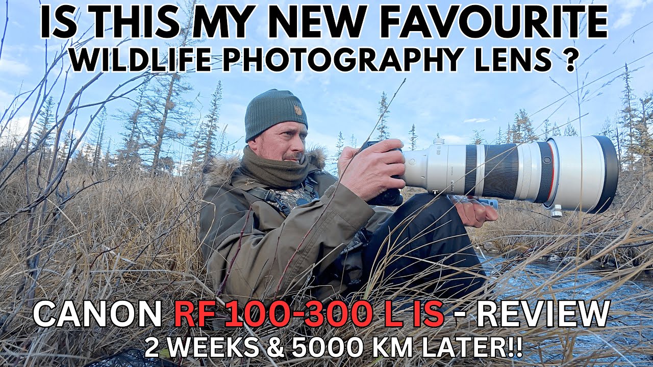 CANON RF100-300 f2.8 L IS USM : Hidden Wildlife Photography Potential - 2 WEEKS  & 5000 KM REVIEW