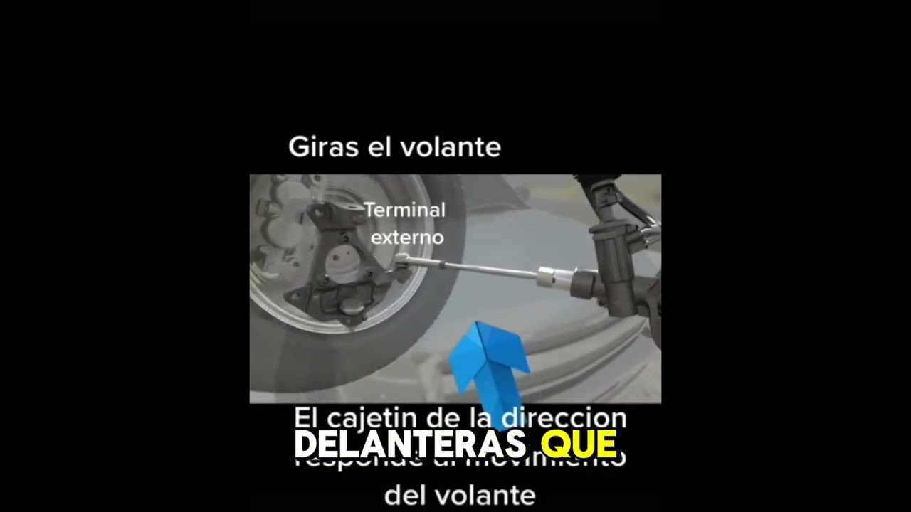 Video Diego Simba unidad 4 aula 5 6