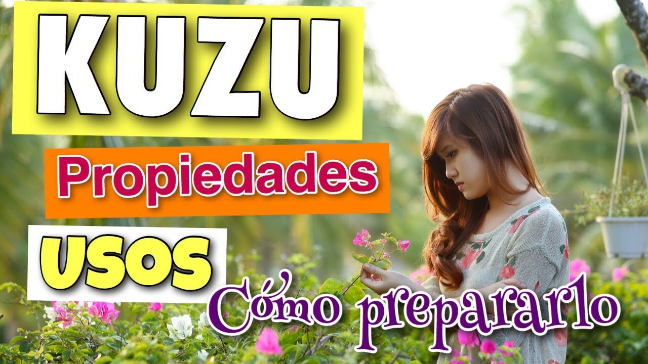 KUZU O KUDZU: PROPIEDADES, BENEFICIOS Y CÓMO PREPARARLO