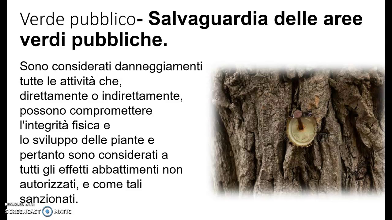 LEZIONE 8.1 - IL VERDE PUBBLICO
