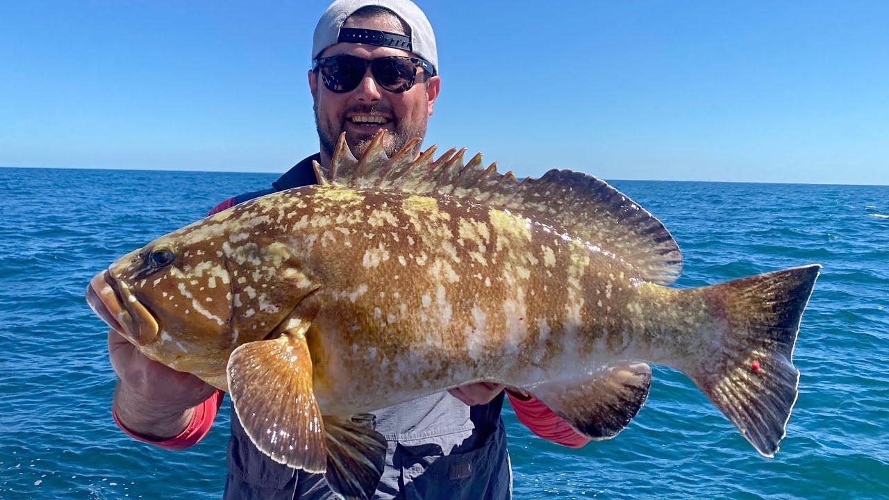 Inchiku Jigging: Grouper Madness Escalates
