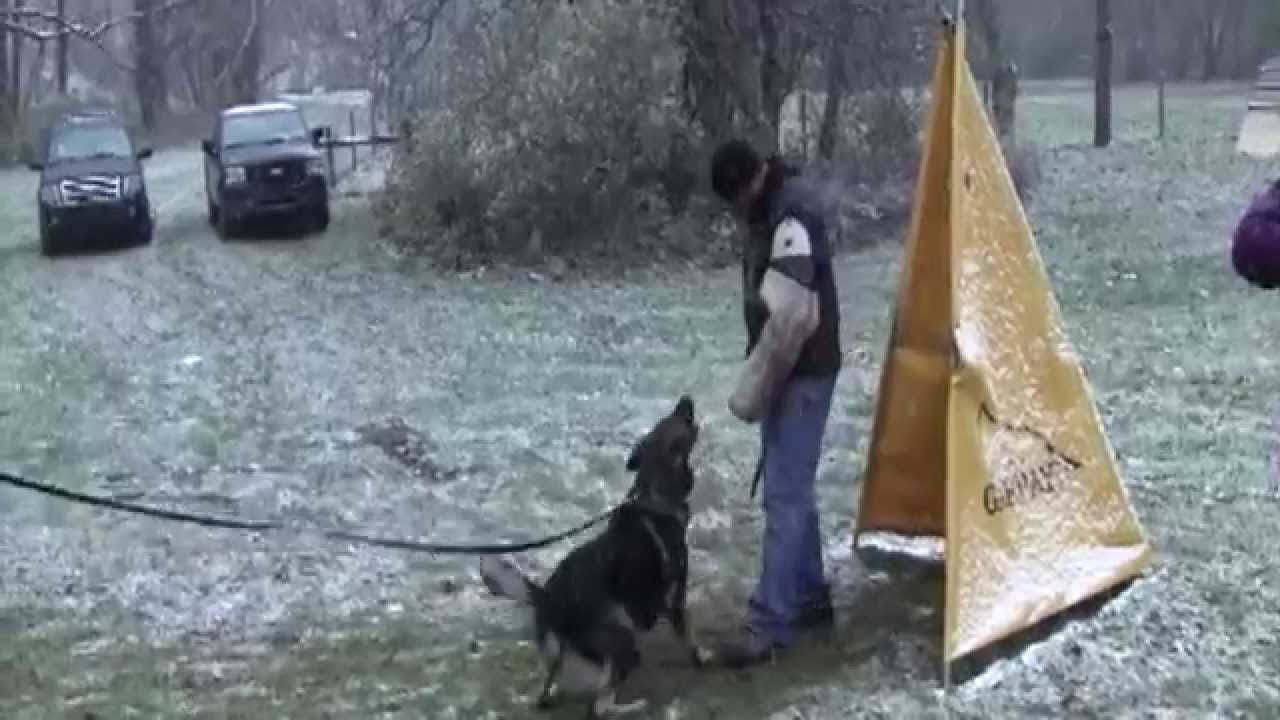 Cero Jivo IPO1, Kkl1 of Sportwaffen K9