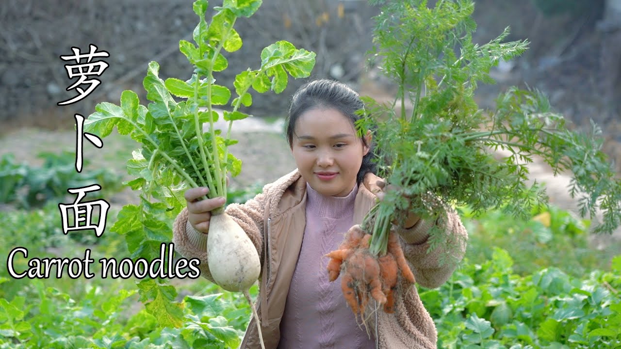 挖一个萝卜、胡萝卜，做一锅萝卜面，看着馋人Dig a radish, carrot, make a radish noodle, and watch