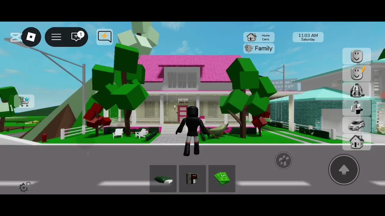 ROBBING PEOPLE IN BROOKHAVEN!