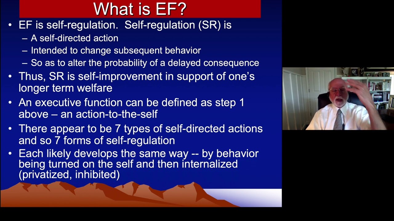ADHD & Executive Functioning -  Part 3 -  Building a Theory of EF