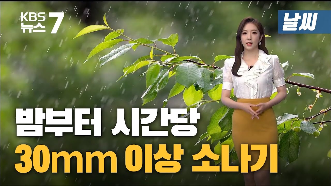 [날씨] 밤부터 시간당 30mm 이상 소나기...안전 사고 주의 / KBS 뉴스7 대전 세종 충남 - 6월 22일 (화)