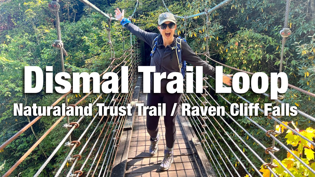 Dismal Trail Highlights - Caesars Head State Park - What To Bring For This Hike!