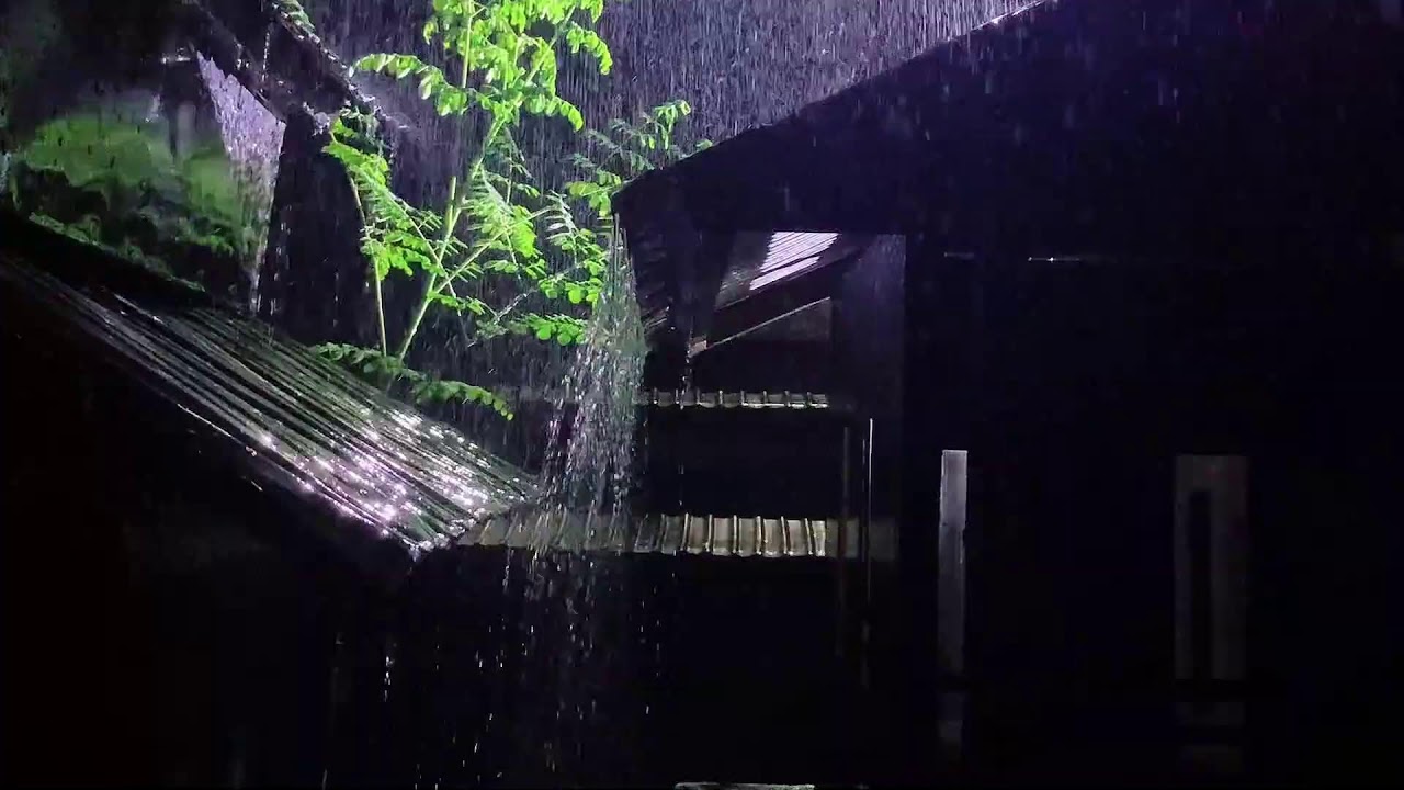 Treat insomnia with heavy rain and strong thunder on the tin roof at night
