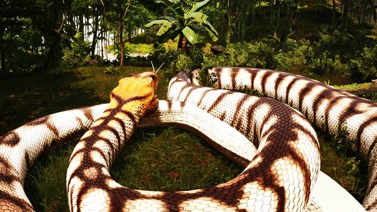 The 20,000lbs Titanoboa Survival Experience..