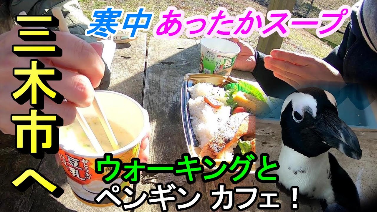 【三木市おでかけ】寒中ウォーキングとペンギンがいるカフェ【ワンコOKガーデンテラス】