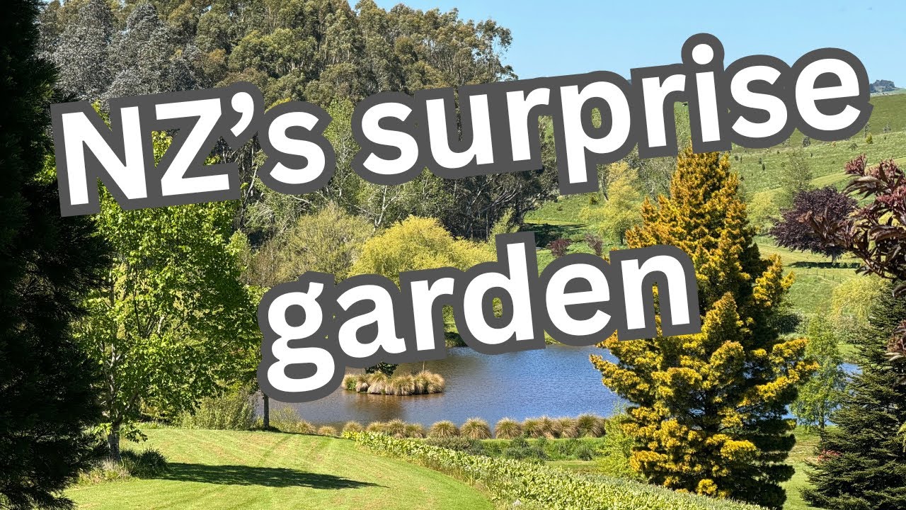 We are revisiting  NZ’s amazing Maple Glen Gardens.  Garden 02   HD 1080p