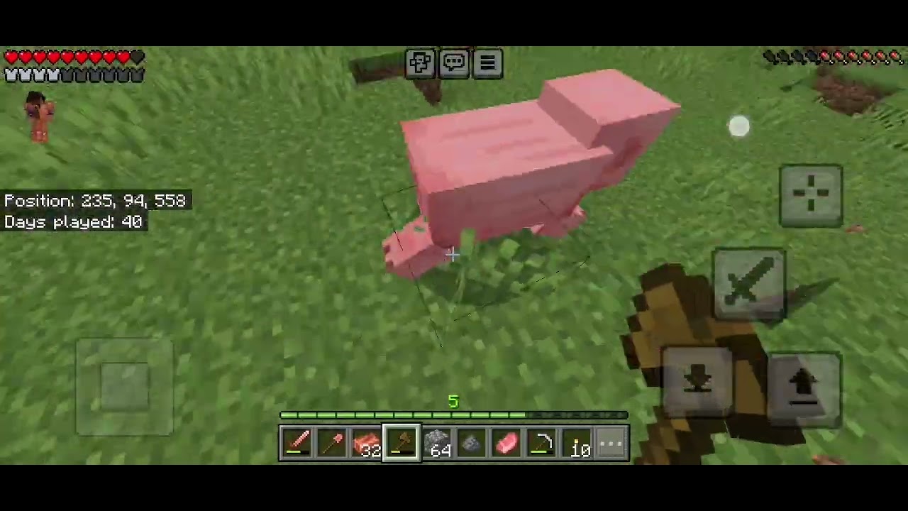 day 6 of playing PIRATED Minecraft.