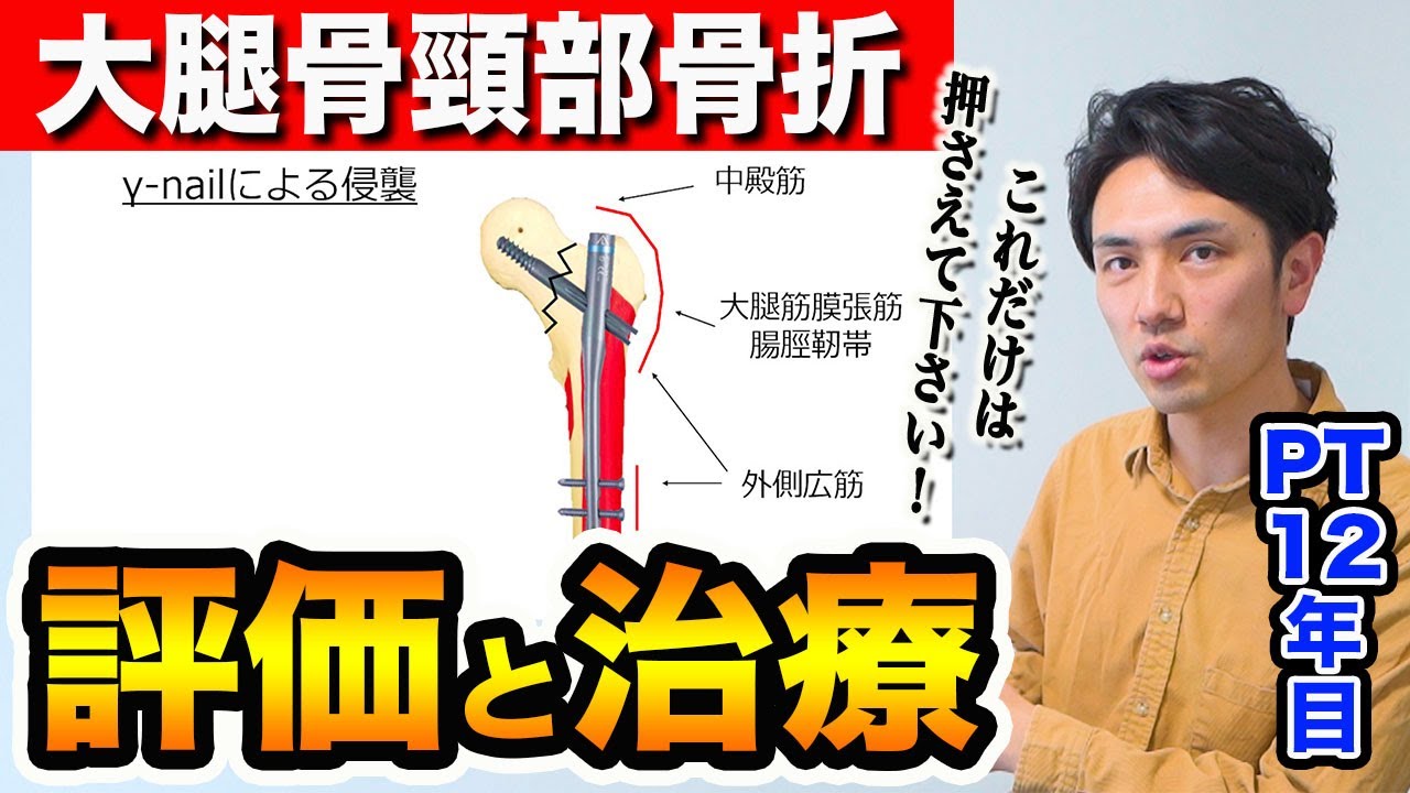 大腿骨頸部骨折のリハビリで超重要なことをまとめました！