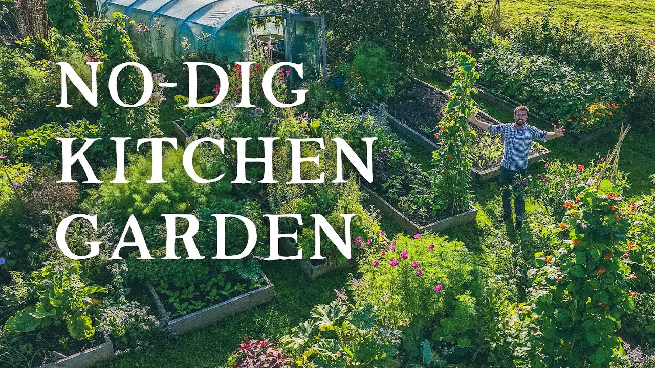 Abundant Permaculture Kitchen Garden in August | No-Dig Polyculture
