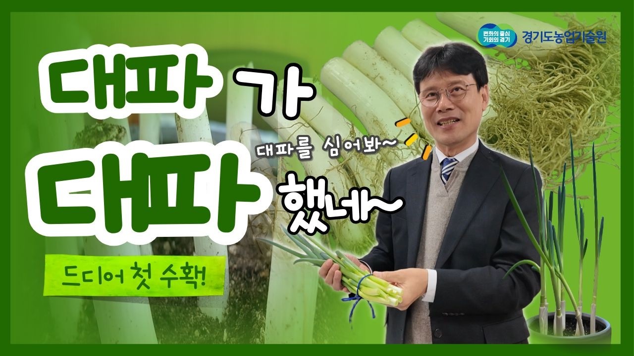 [대파 키우기 프로젝트] 경기도 대파 직접 키웠더니… 두 번째 수확? 실화냐?ㅋㅋ