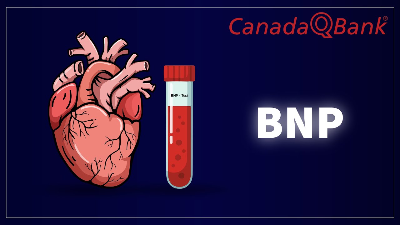 BNP Blood Test: Heart Failure Diagnosis, Levels & Clinical Use | Cardiology Simplified | CanadaQBank