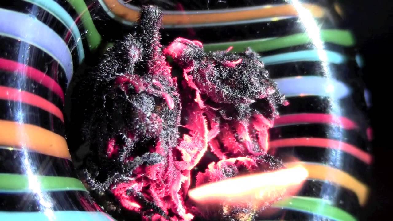 HD Green Crack Bong Rips (Part 6) Nugs and Bowl in Bong