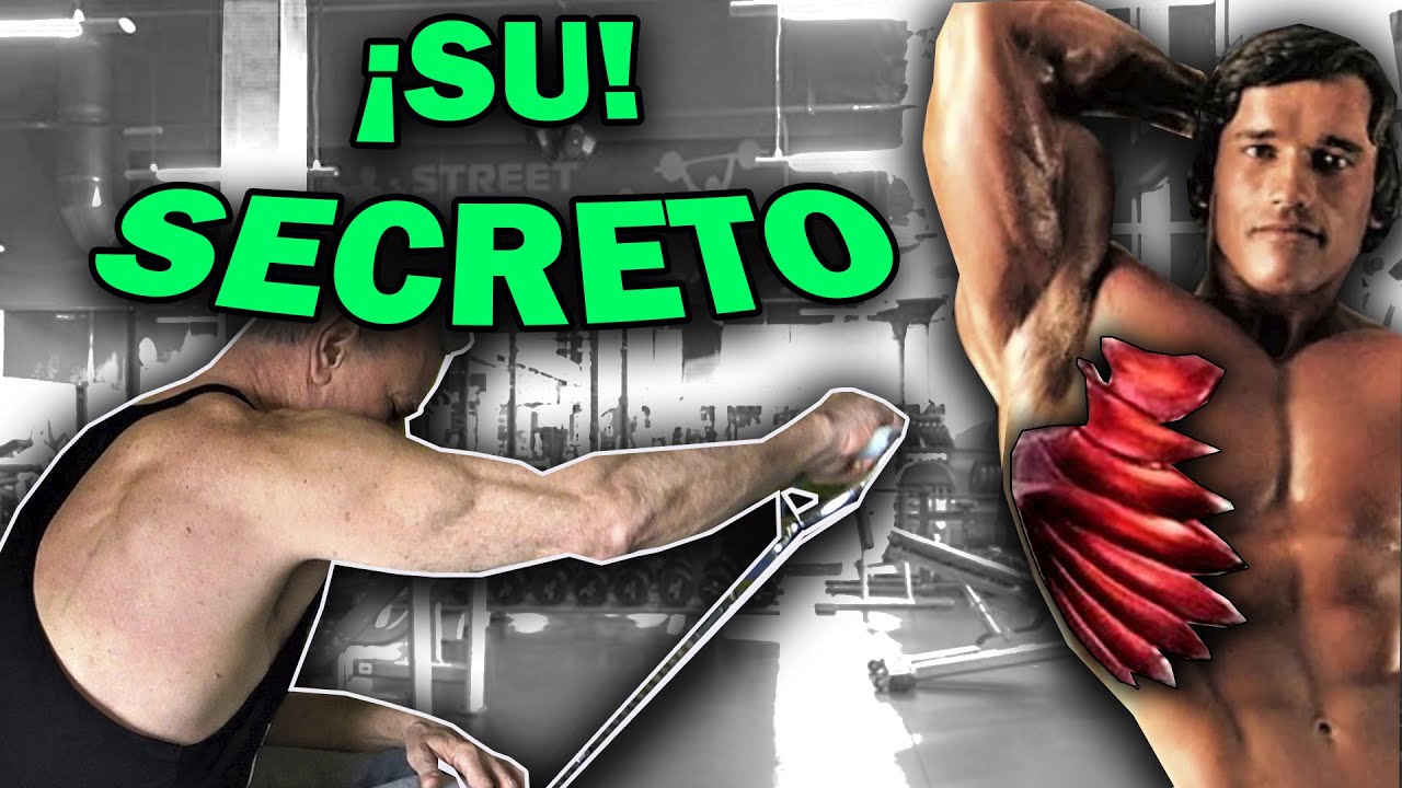 MIS EJERCICIOS SECRETOS PARA SERRATO AHORA SON TUYOS ¡FOREVER!