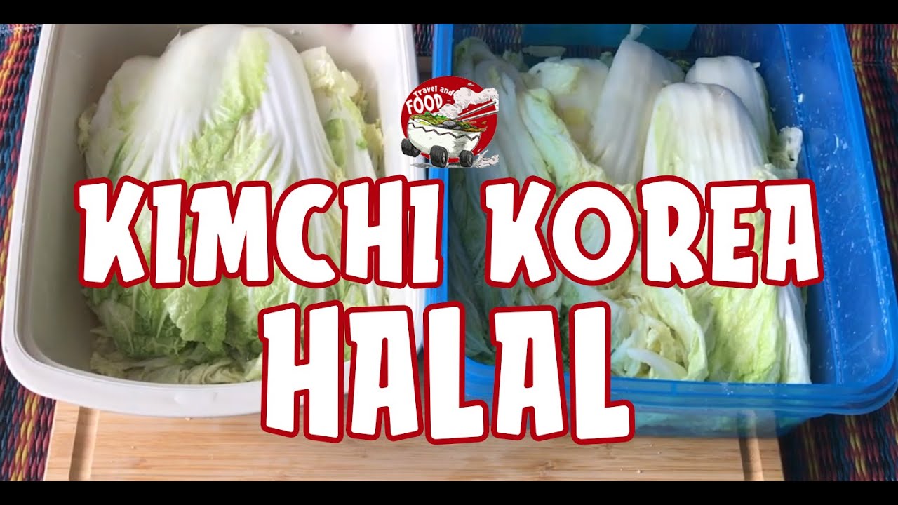 Cara mudah buat Kimchi Halal, sedap dan jimat! - How to make easy halal kimchi at home