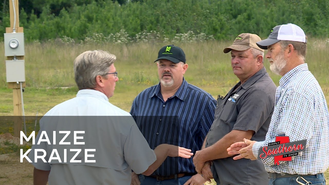 Show 702C Maize Kraize