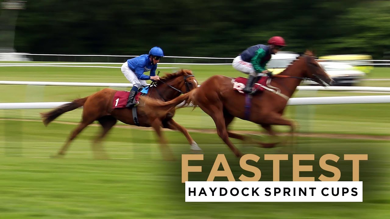 THE 4 FASTEST SPRINT CUPS AT HAYDOCK PARK RACECOURSE