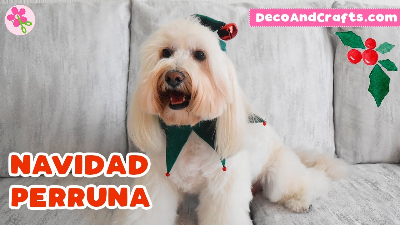 3 DISFRACES para PERROS en NAVIDAD | Ropa de Perro DecoAndCrafts