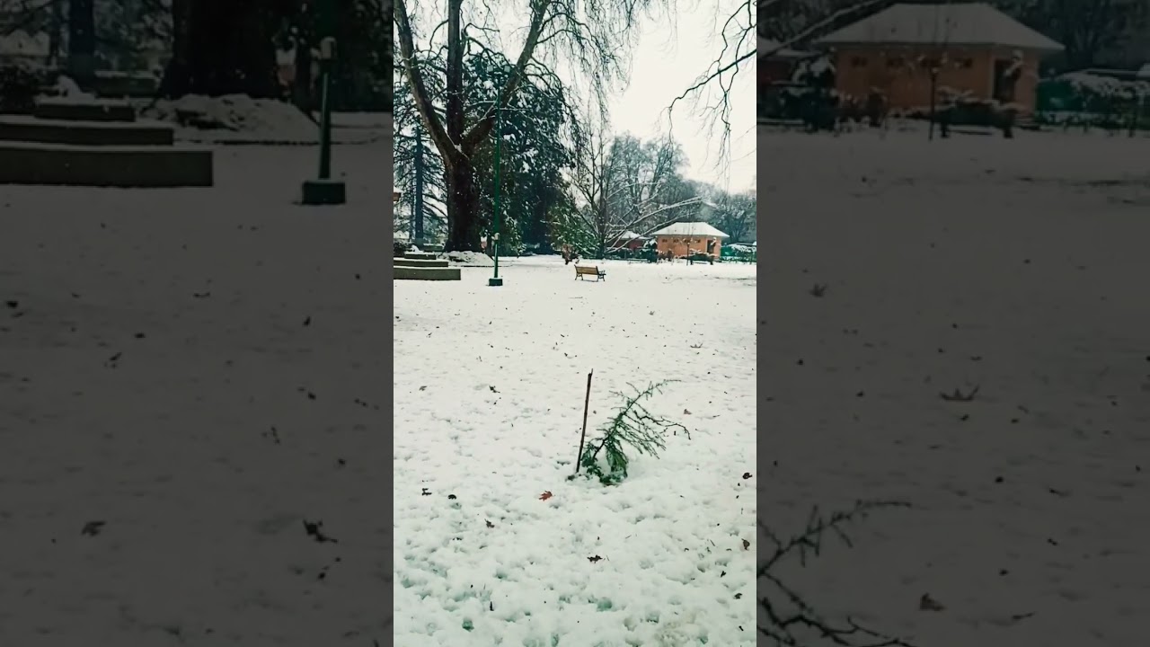poloview srinagar. ...snow view