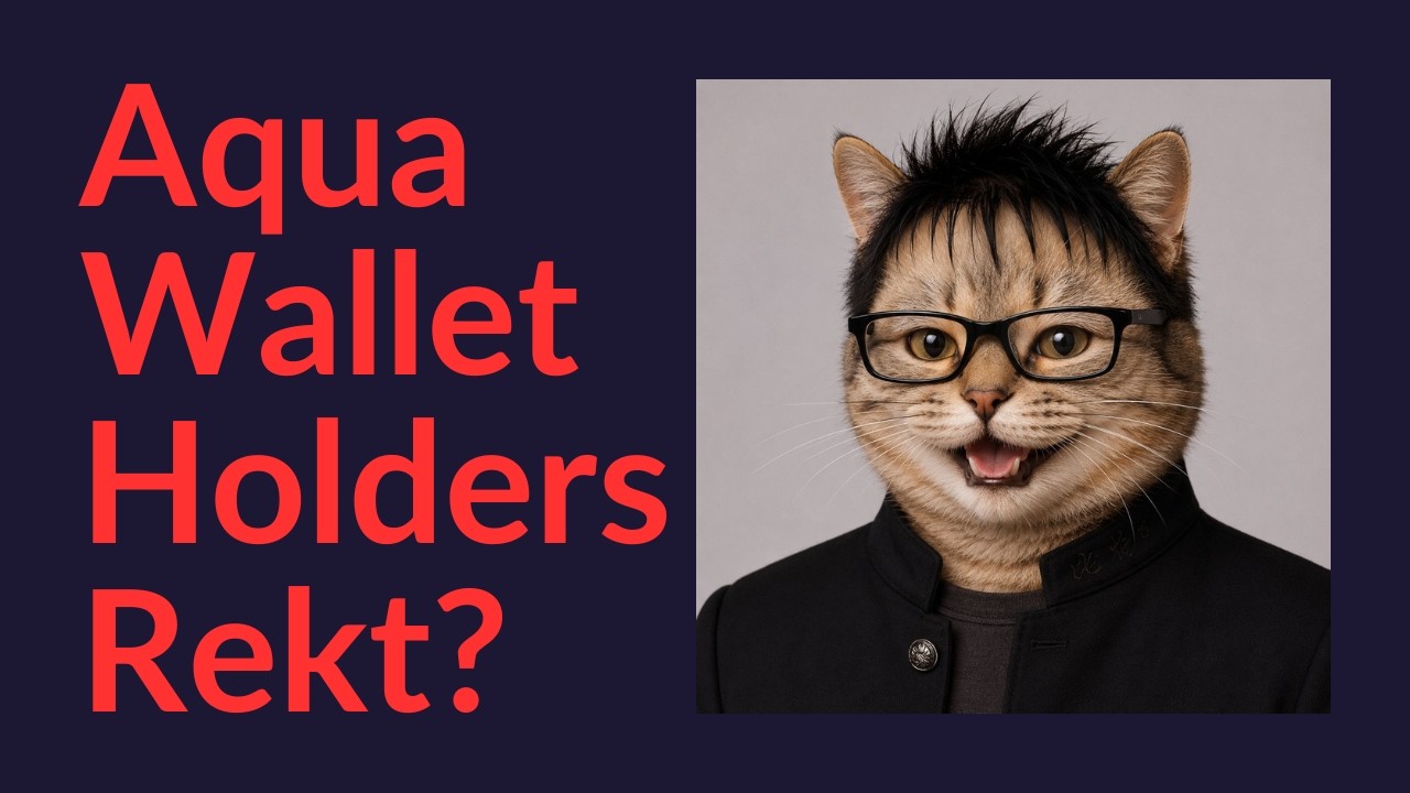Aqua Wallet Holders Rekt?