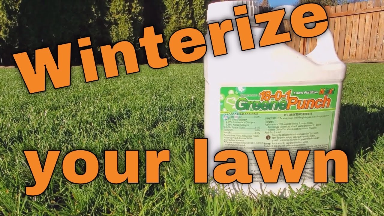 Winterize your lawn with 18-0-1 GreenePunch Lawn Fertilizer from Greene County Fertilizer