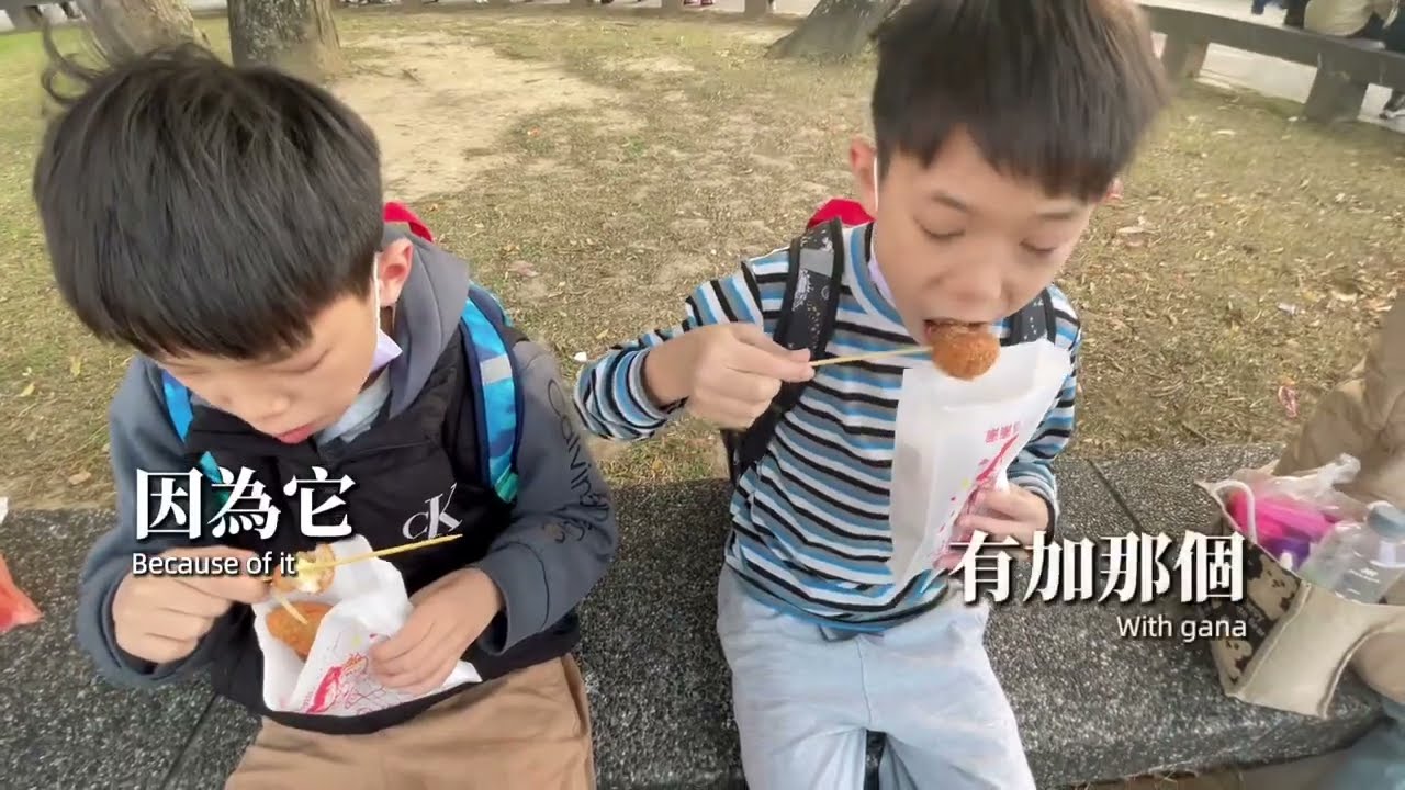 MTVideo 2
