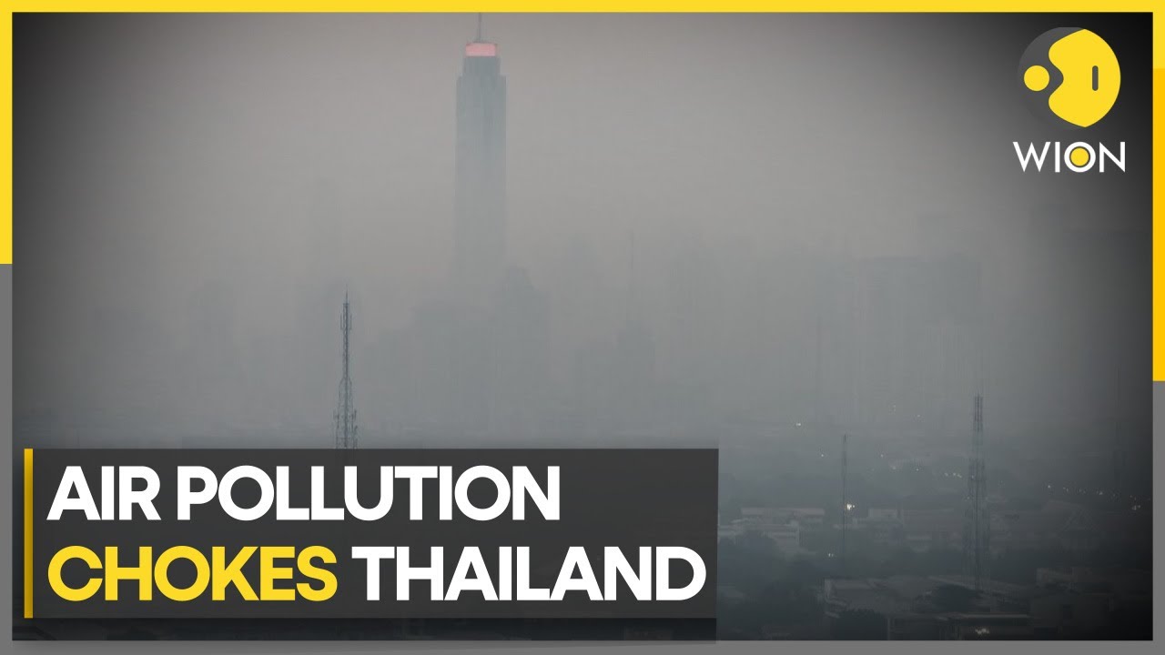 Thailand tourism future darkened by air pollution | WION Climate Tracker