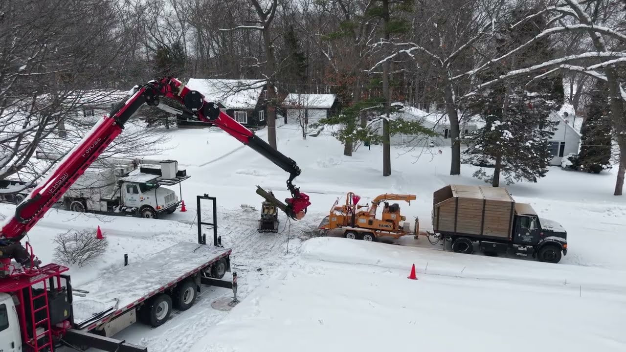 ARCHER GRAPPLE SAW Single Digits Tree Removal!