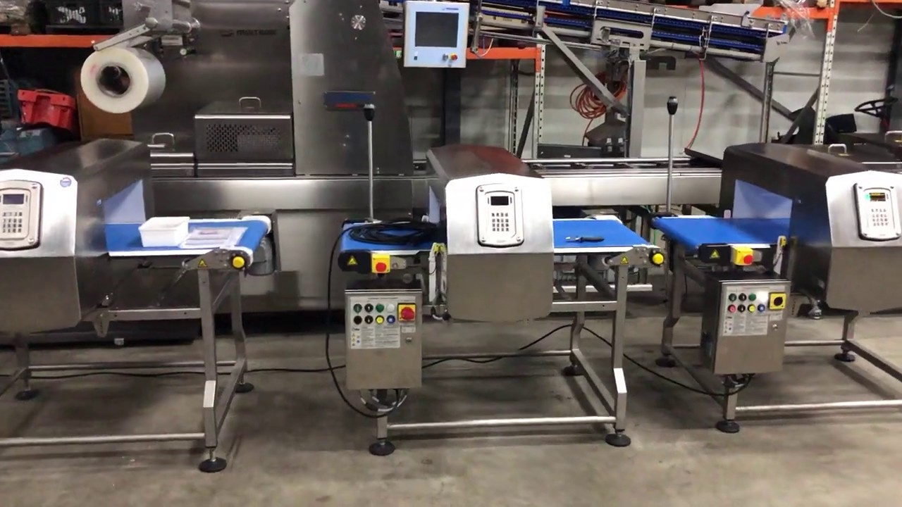 Ceia ths 21 Multispectrum metal detection