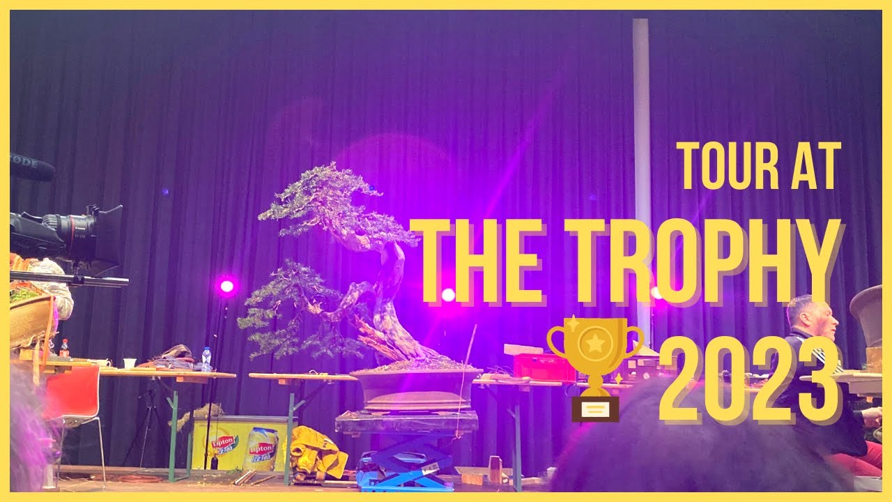 The Trophy 2023 Bonsai Exhibition